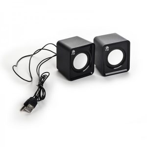 اسپیکر دسکتاپ پی نت مدل V310