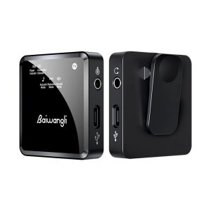 میکروفون بی سیم دو کاناله Baiwangli SX39